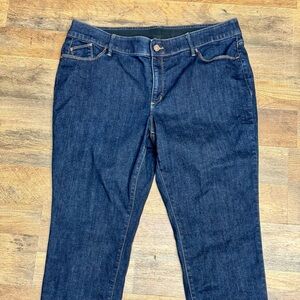 Chico's Platinum Dark Indigo Jeggings